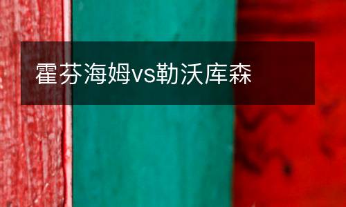 霍芬海姆vs勒沃庫森